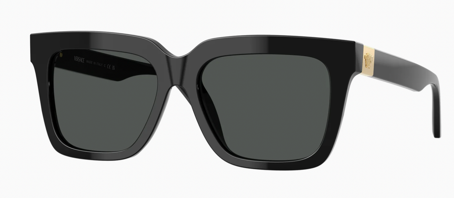 Versace VE4498 Sunglasses