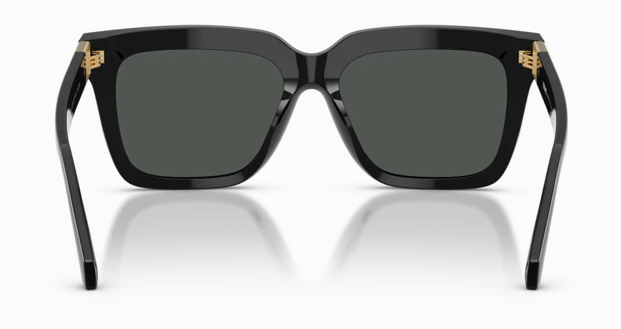 Versace VE4498 Sunglasses